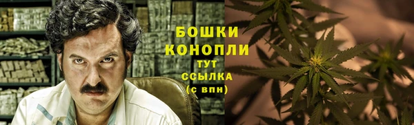 шишки Аркадак