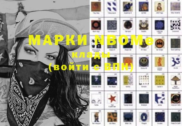 шишки Аркадак