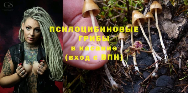 кокс Арсеньев