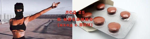 шишки Аркадак
