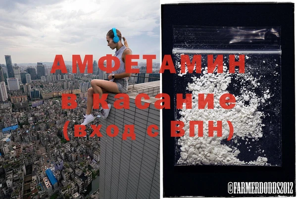 шишки Аркадак