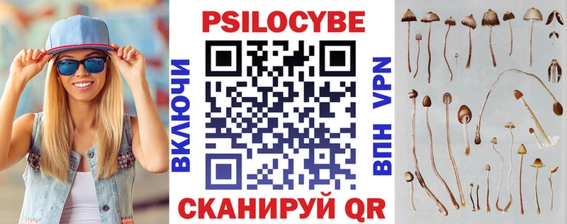 мориарти клад  Орлов  Галлюциногенные грибы Cubensis 