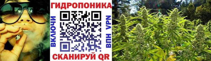 Бошки марихуана план Орлов